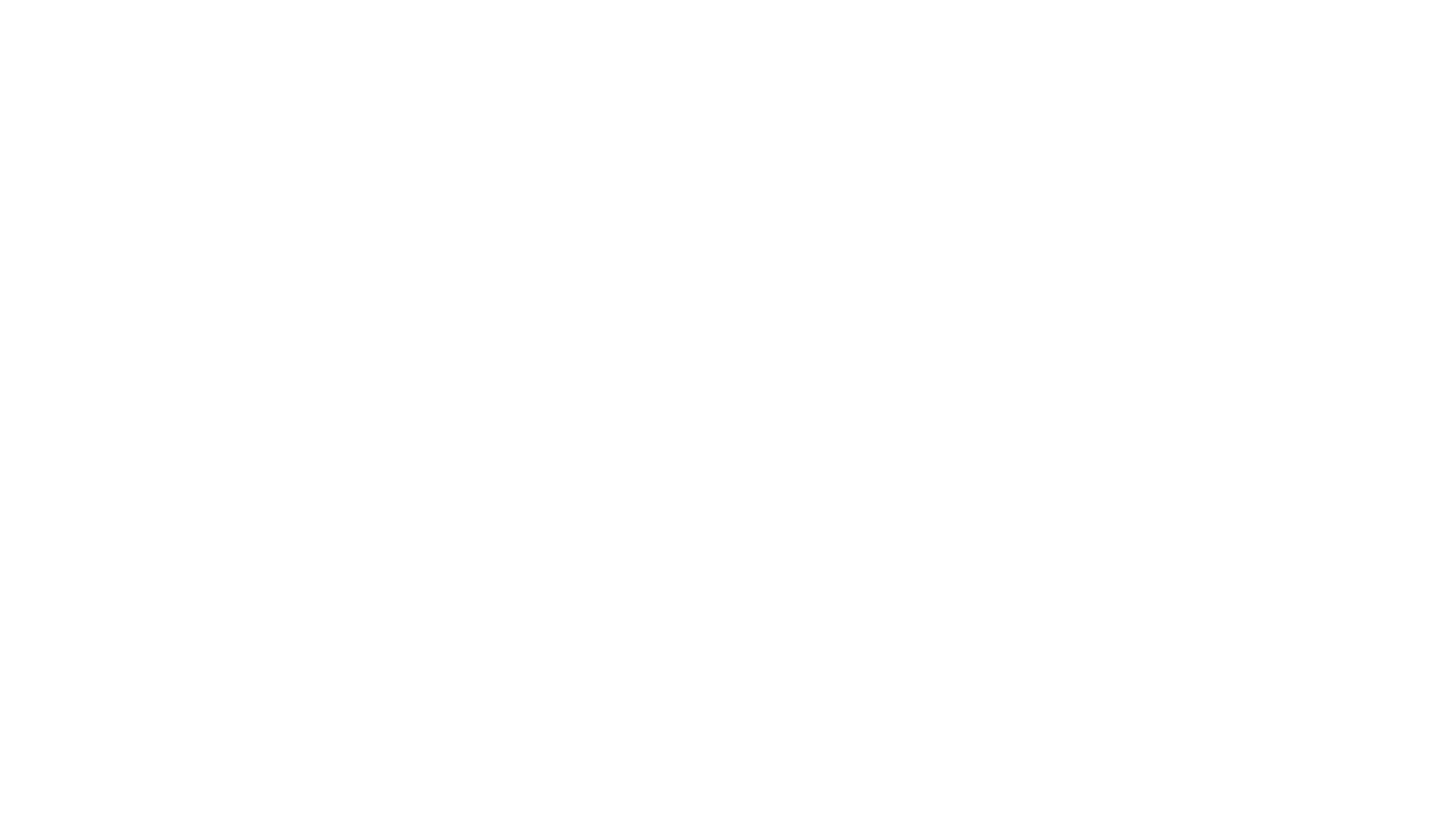 logo FORCEPOINT