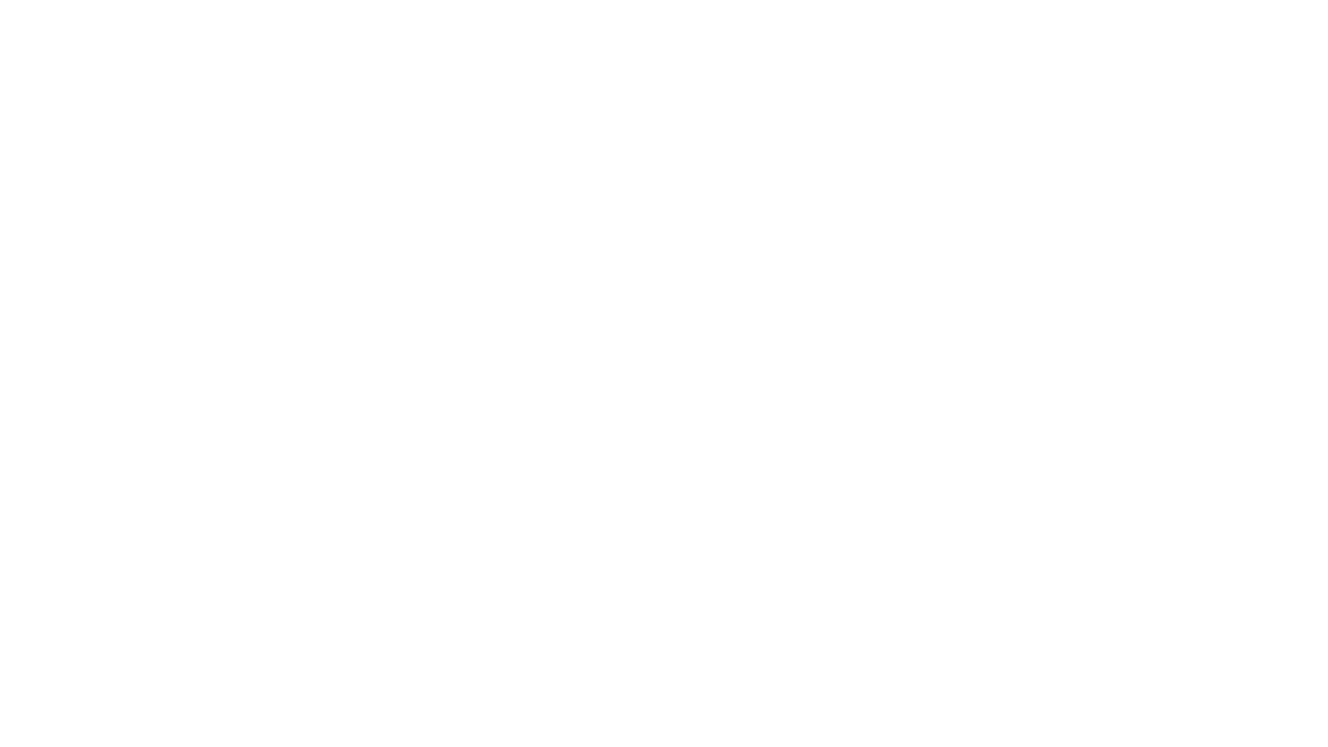 logo snowflake